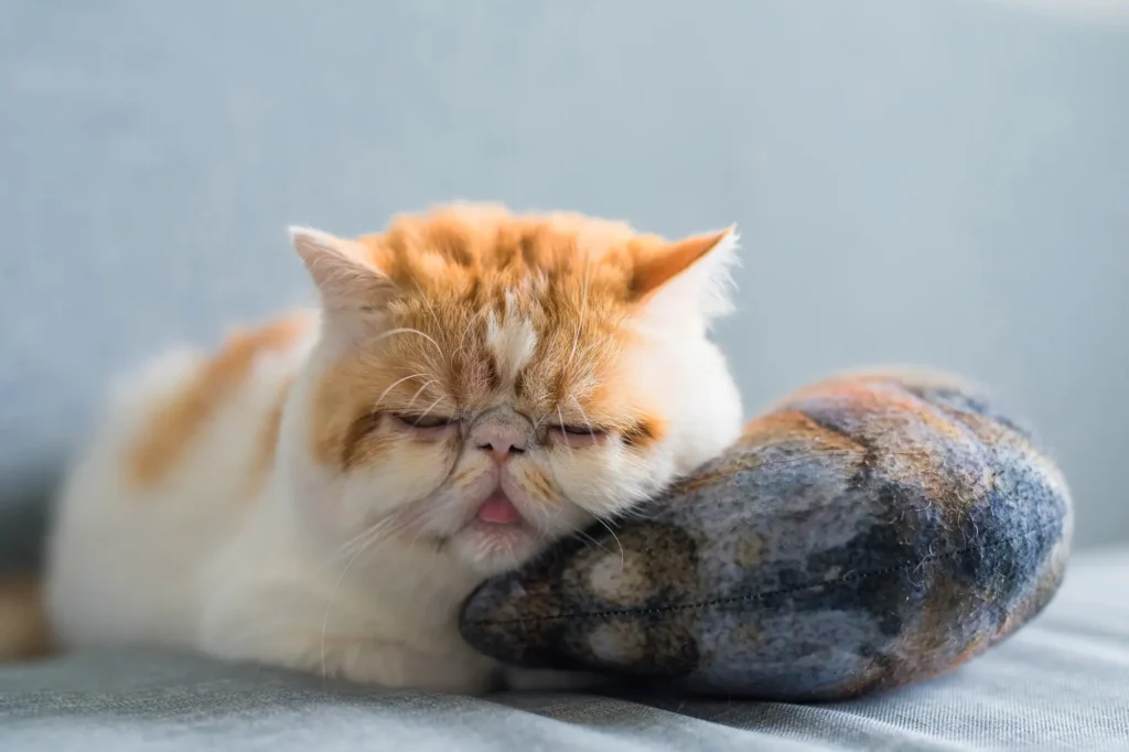 猫 おもちゃ 魚