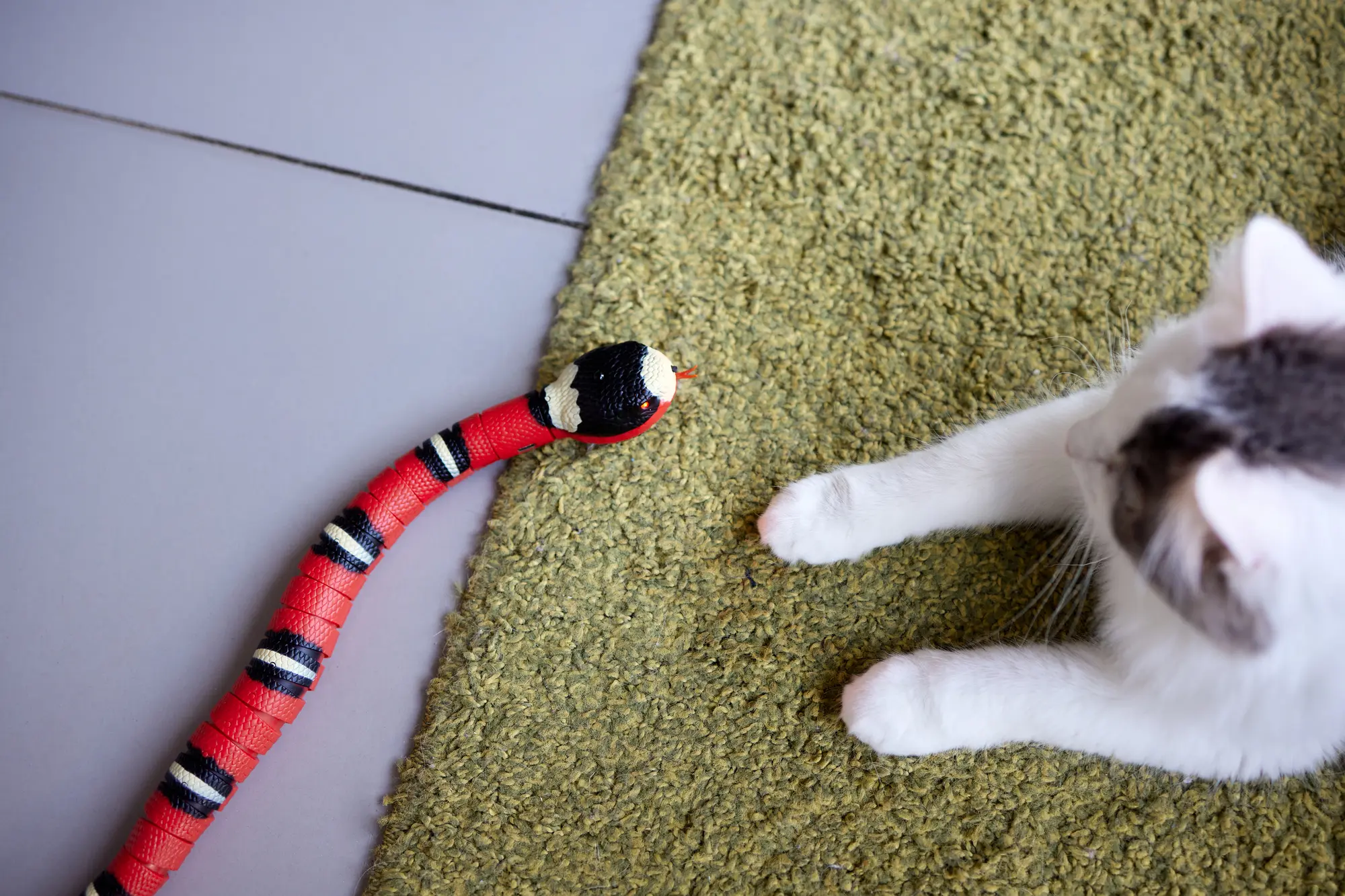 猫 おもちゃ ヘビ