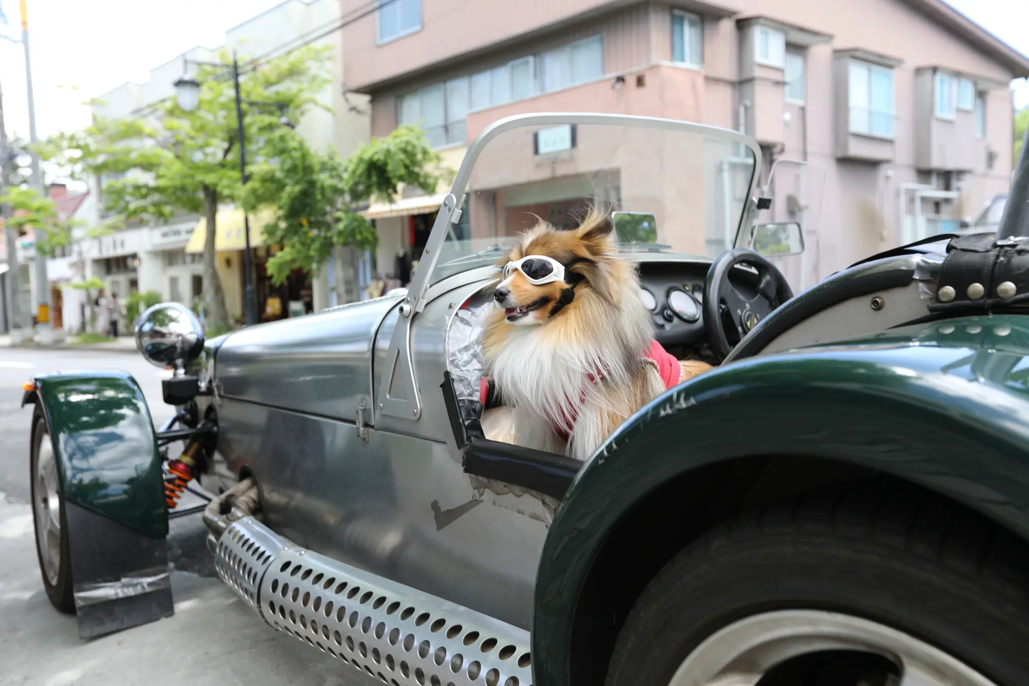 犬用 ゴーグル おすすめ
