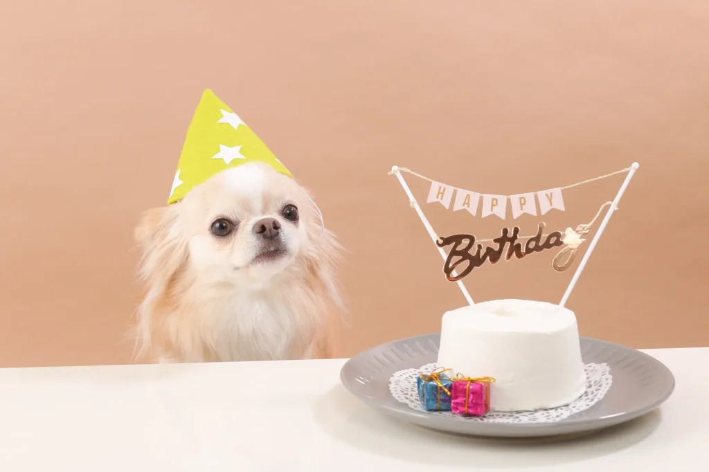 犬の誕生日 ケーキ