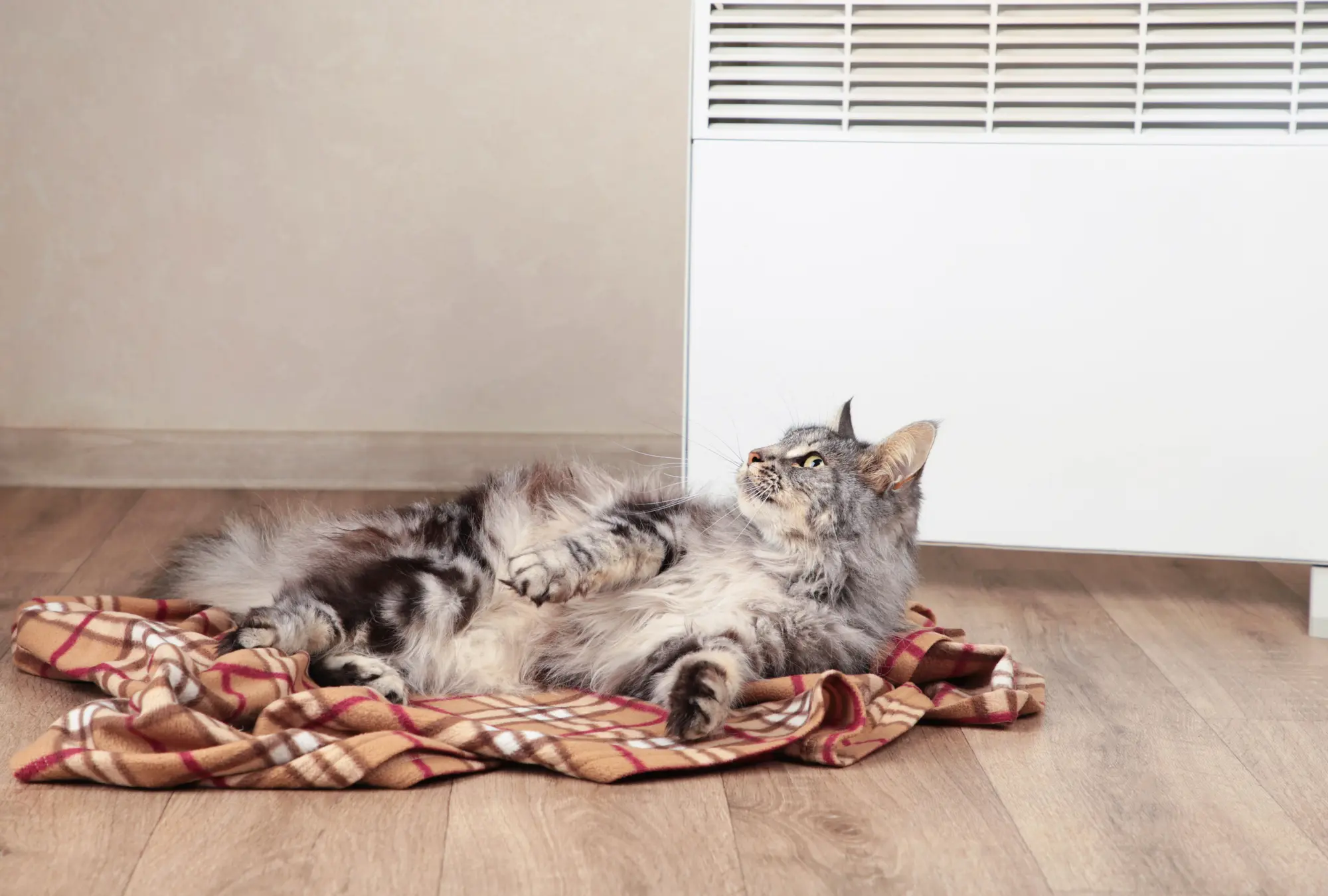 猫 ヒーター おすすめ