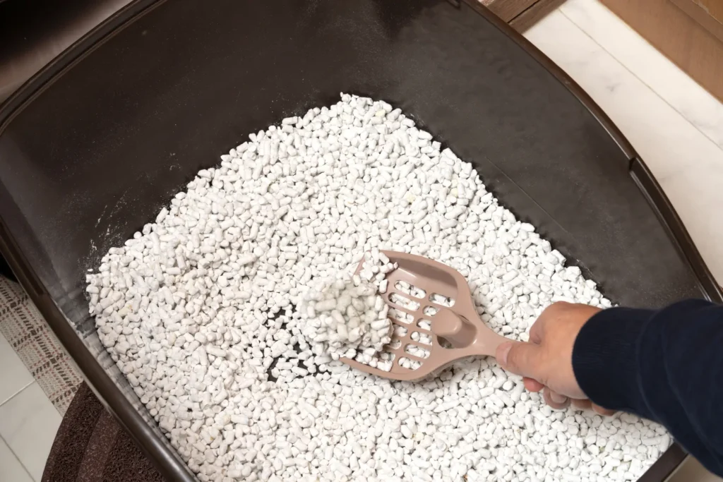 固まる猫砂 ランキング