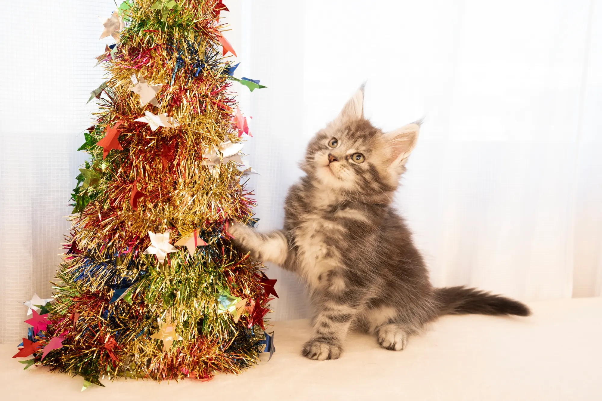 クリスマス ツリー 猫 よけ