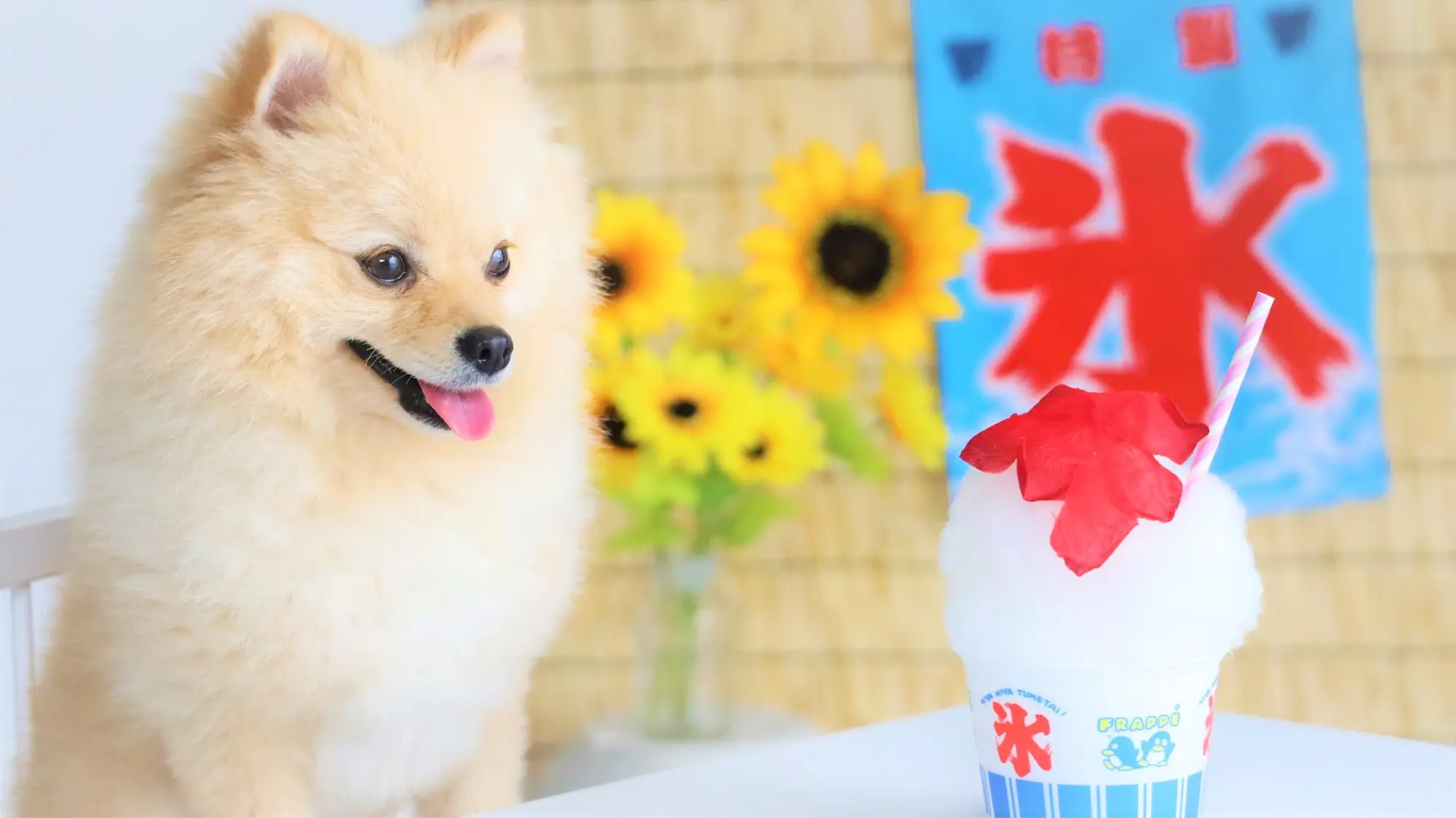 犬 熱中症 対策 氷