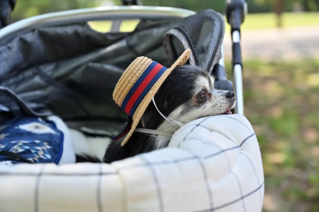 犬 熱中症 対策 服